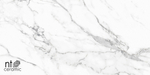 Керамогранит Statuario Infinity NTT9125M 600*1200мм матовая