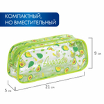 Пенал-косметичка BRAUBERG LUCENT на молнии прозрачный "Avocado" 21х5х9 см (2 штуки в упаковке)