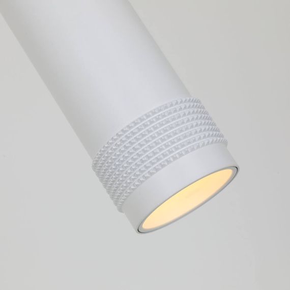 Подвесной светильник Favourite Kinescope 2453-1P