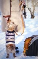 WINTERSALE