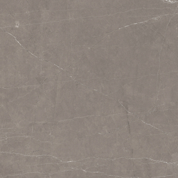 Stone Micado Grey Керамогранит серый 60х60 Полированный