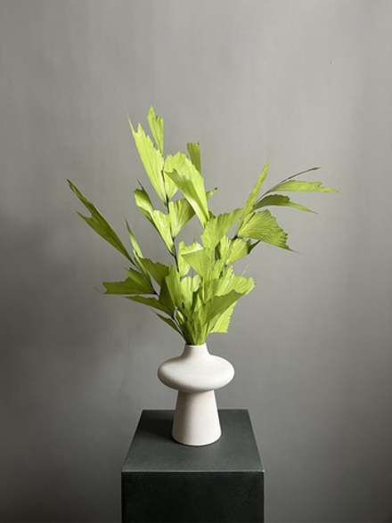 Кариота зеленая