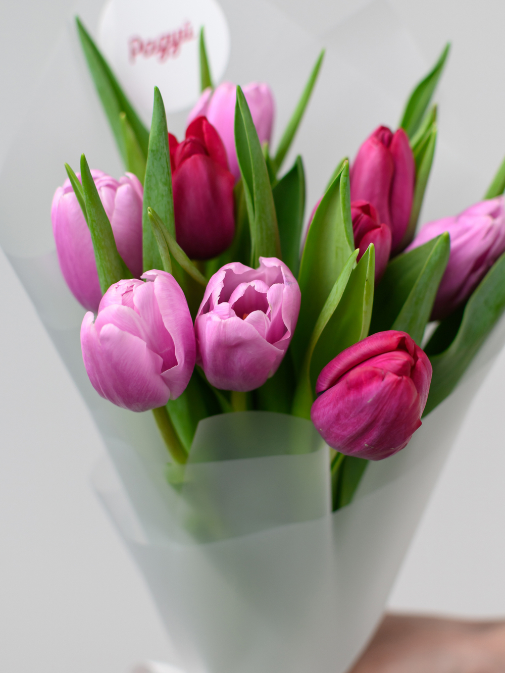 Тюльпаны микс