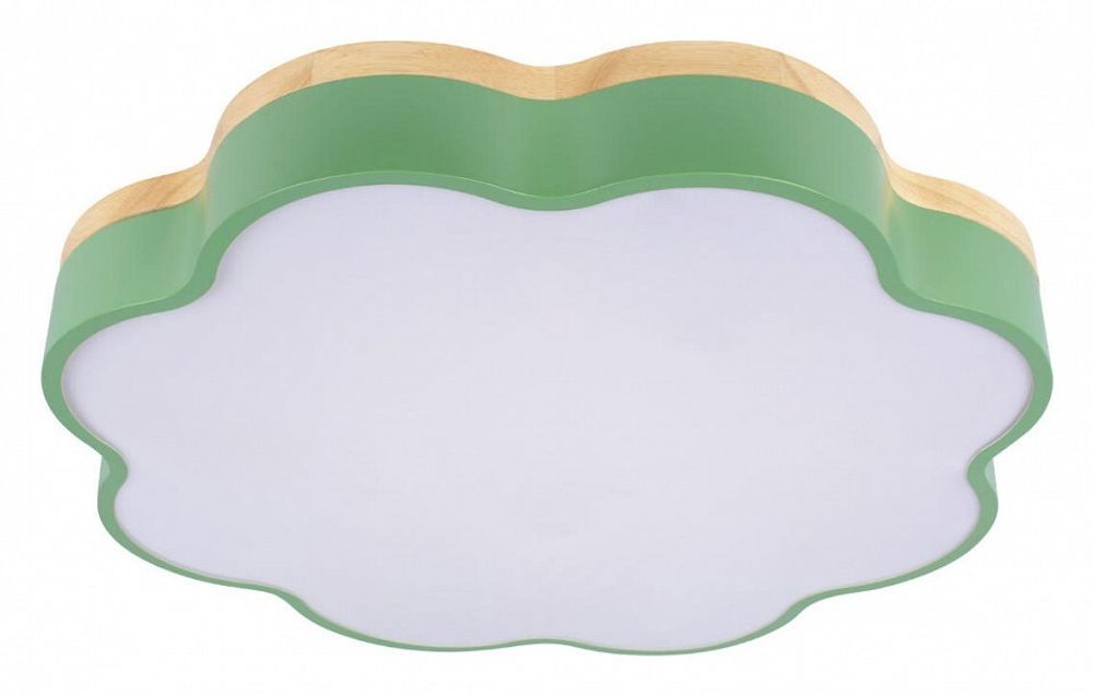 Накладной светильник Loft it Axel 10225/36 Green