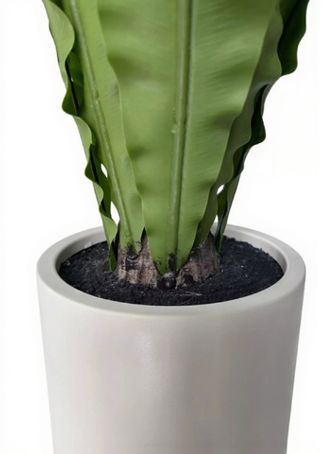 Асплениум в декоративном кашпо 70 см (16 листьев)