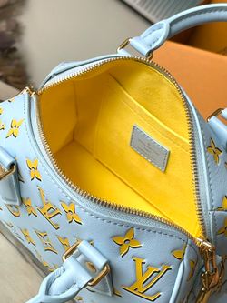 Louis Vuitton Speedy 20