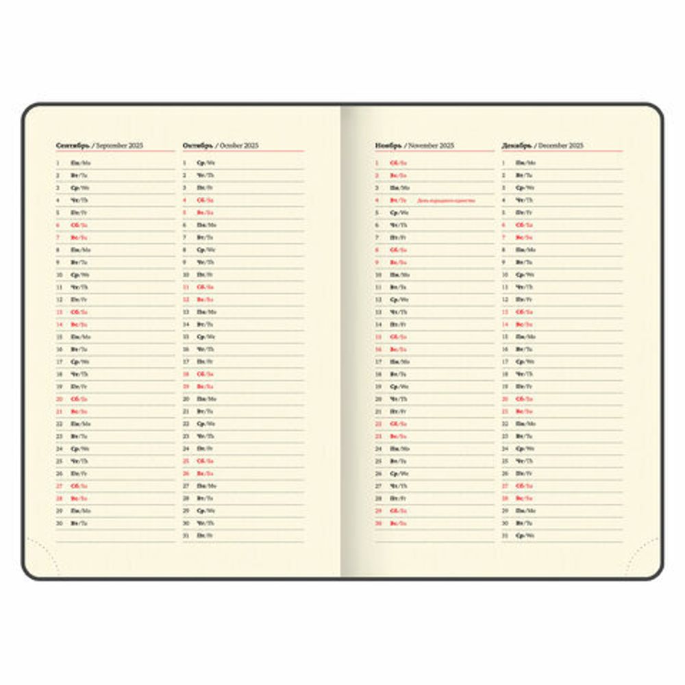Ежедневник датированный 2025, А5, 138x213 мм, BRAUBERG "Comodo", под кожу, синий, 115776