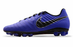 Кроссовки Nike Legend7Ag-R
