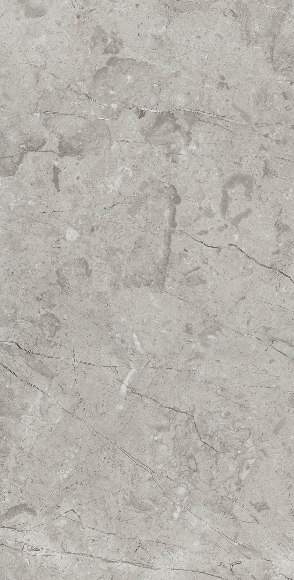 Керамогранит, Arcadia Ceramica, MARCUS GRACIA, 1200x600 мм, матовая