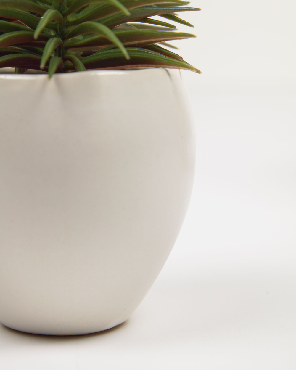 Pino Искусственное растение в белом керамическим кашпо 16 см