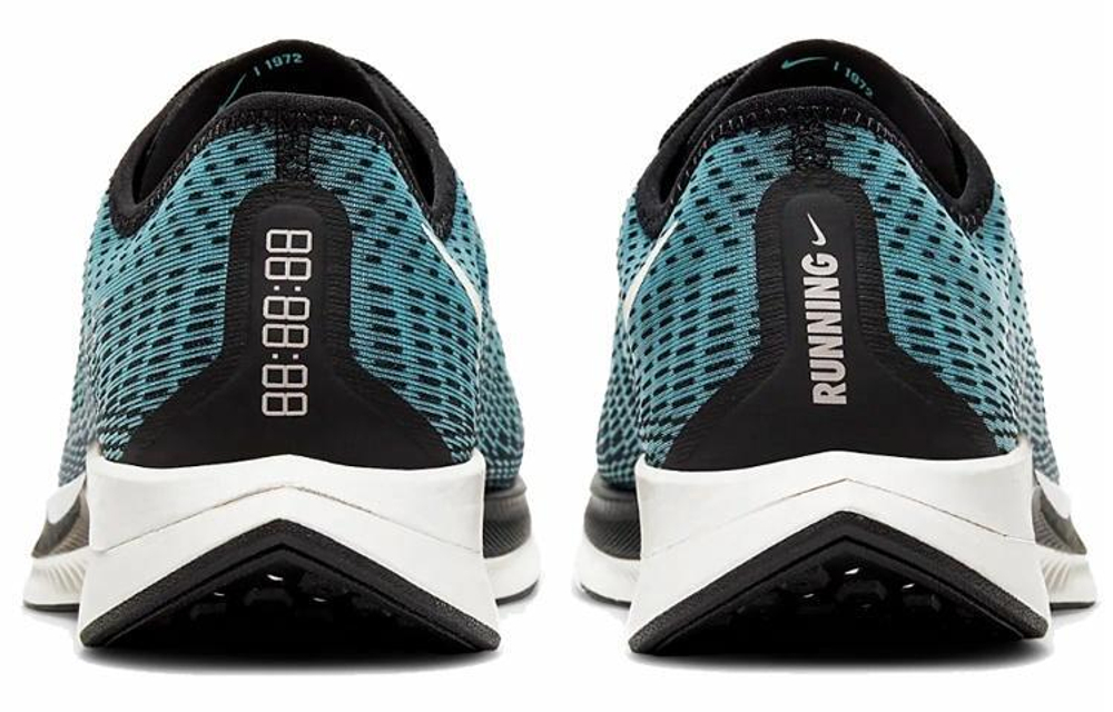 Кроссовки Nike Pegasus Turbo 2