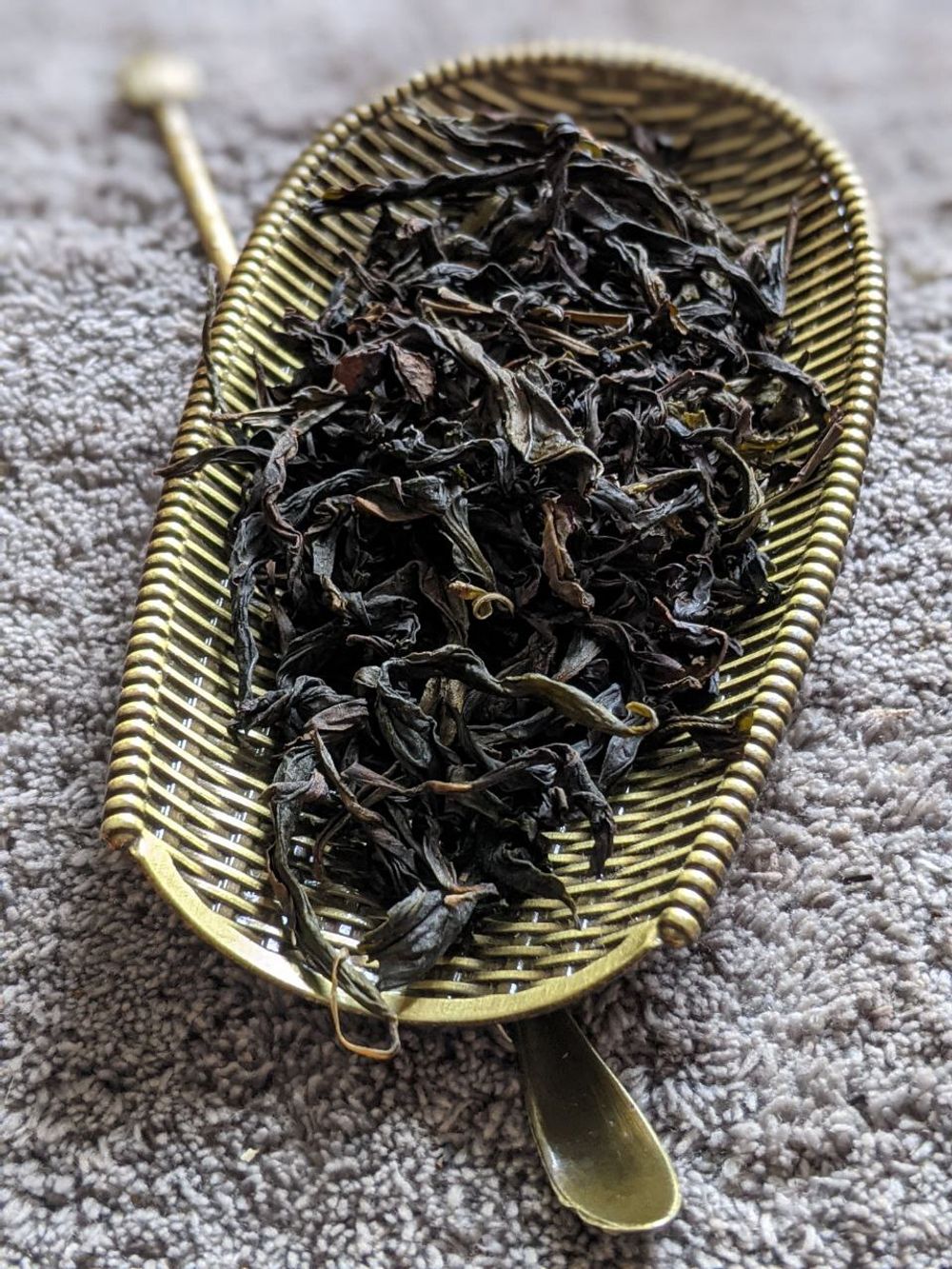 Водяная Черепаха (Шуй Цзинь Гуй)