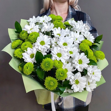 Букет из хризантем сорта "KENNEDY WHITE" и "DELIGREEN"
