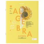 Тетрадь предметная со справочным материалом VISION 48 л., обложка картон, АЛГЕБРА, клетка, BRAUBERG, 404249