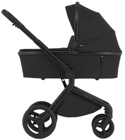 Детская коляска Anex Flo 2 в 1 Lungo