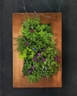The Plant Recipe Book: 100 Living Arrangements for Any Home in Any Season