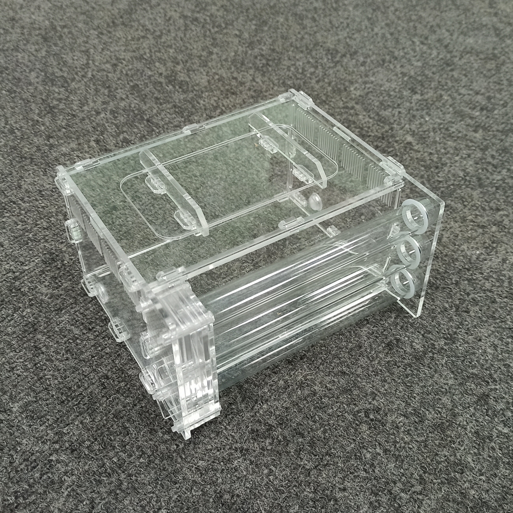 Пробирочная муравьиная ферма