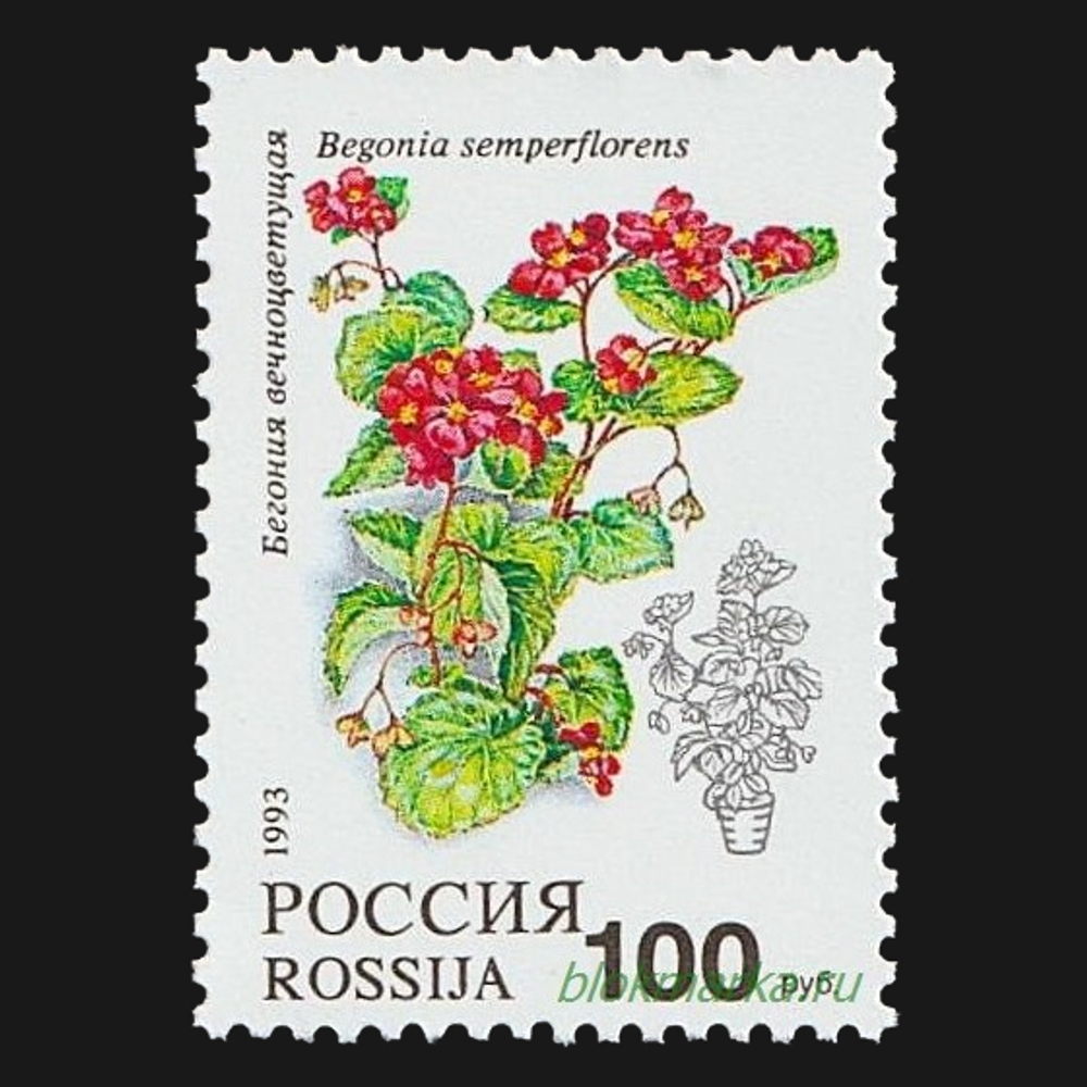 Россия 1993 г № 77-81 Серия Флора Комнатные растения Чистая MNH **