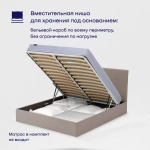 Кровать BuyDream (велюр, с ПМ)