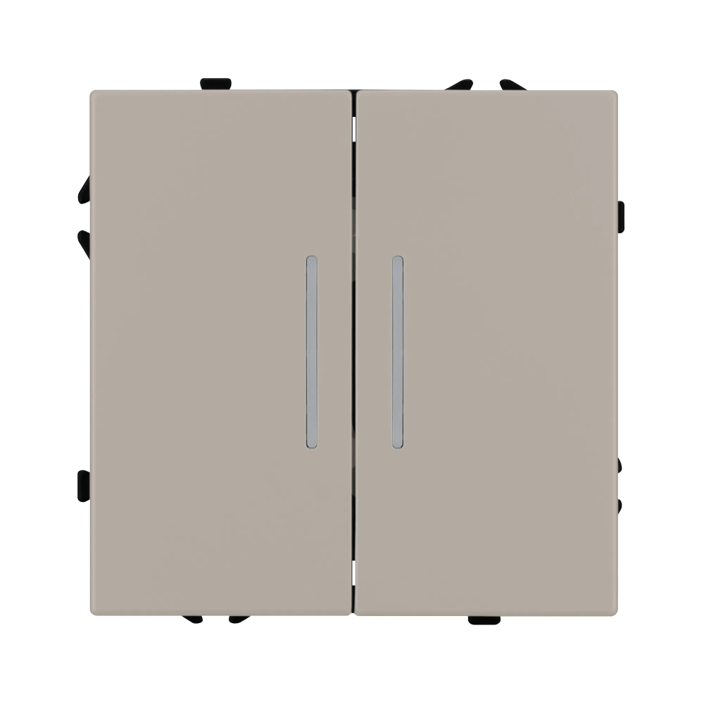 Механизм выключателя двухклавишный непроходной LED SWT-NOBE-MK02-SFPL-L-CA (230V, 10A) (Arlight, -) 059417