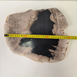 Набор из окаменелого дерева 4 предм Fossil Set NF-63299 поднос 149