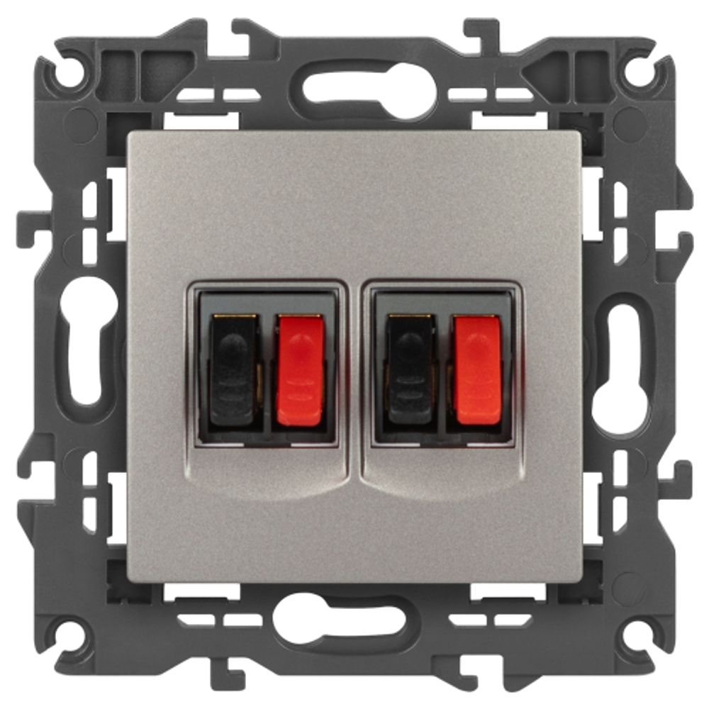 Розетка ЭРА Elegance 14-3112-16 аудио двойная титан