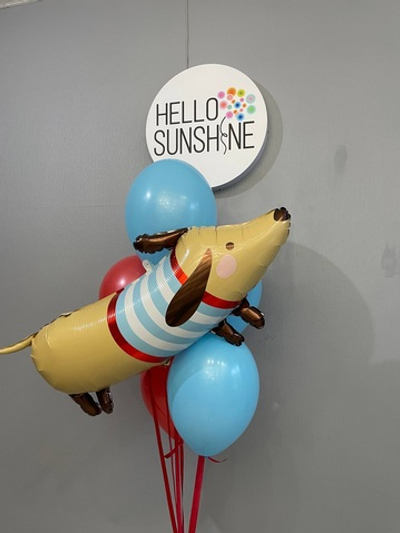 Набор шаров Такса