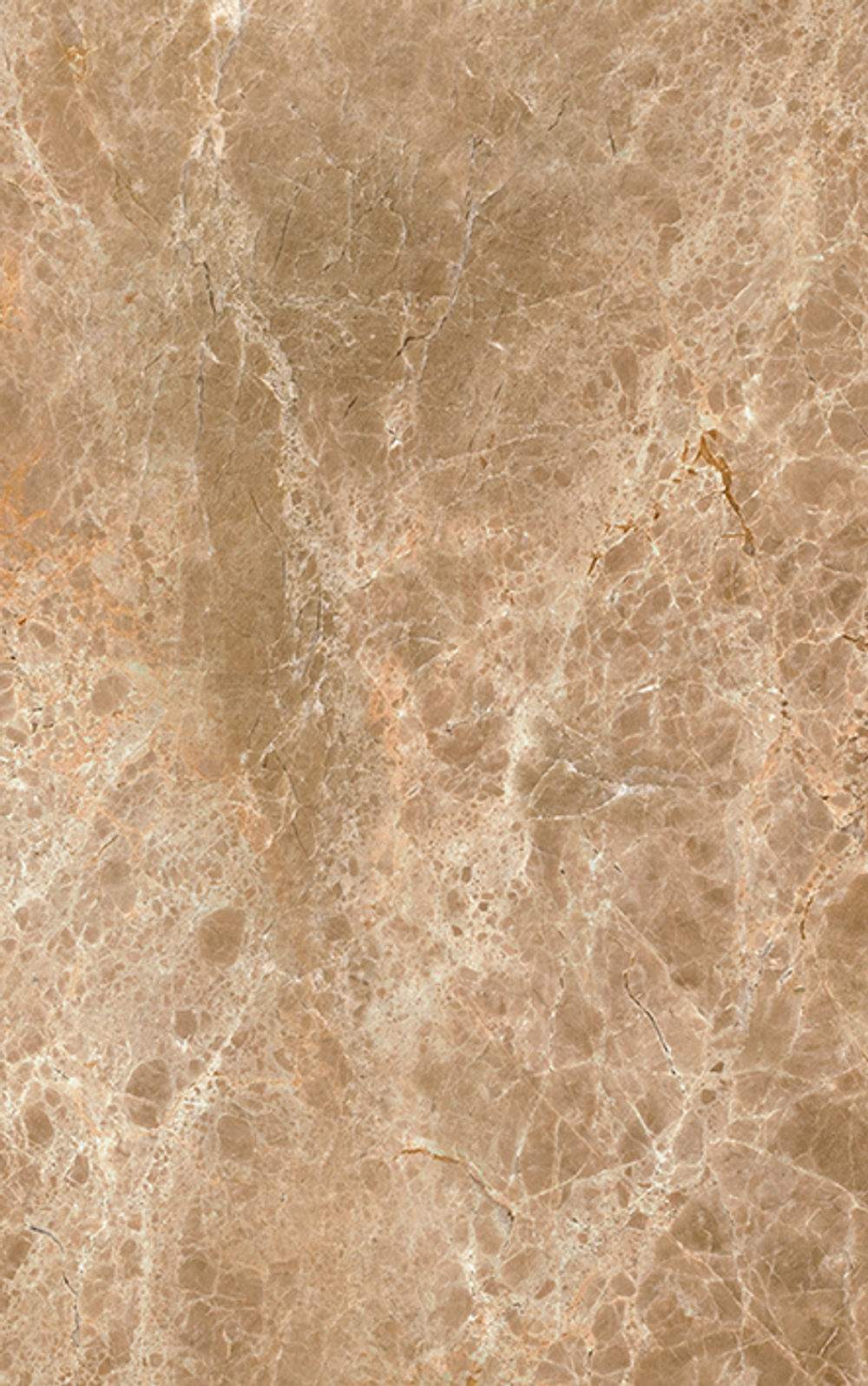 Illyria cappuccino 09-01-11-395 Плитка настенная 25x40