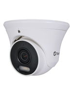 Видеокамера IP TSi-Ee50FPN