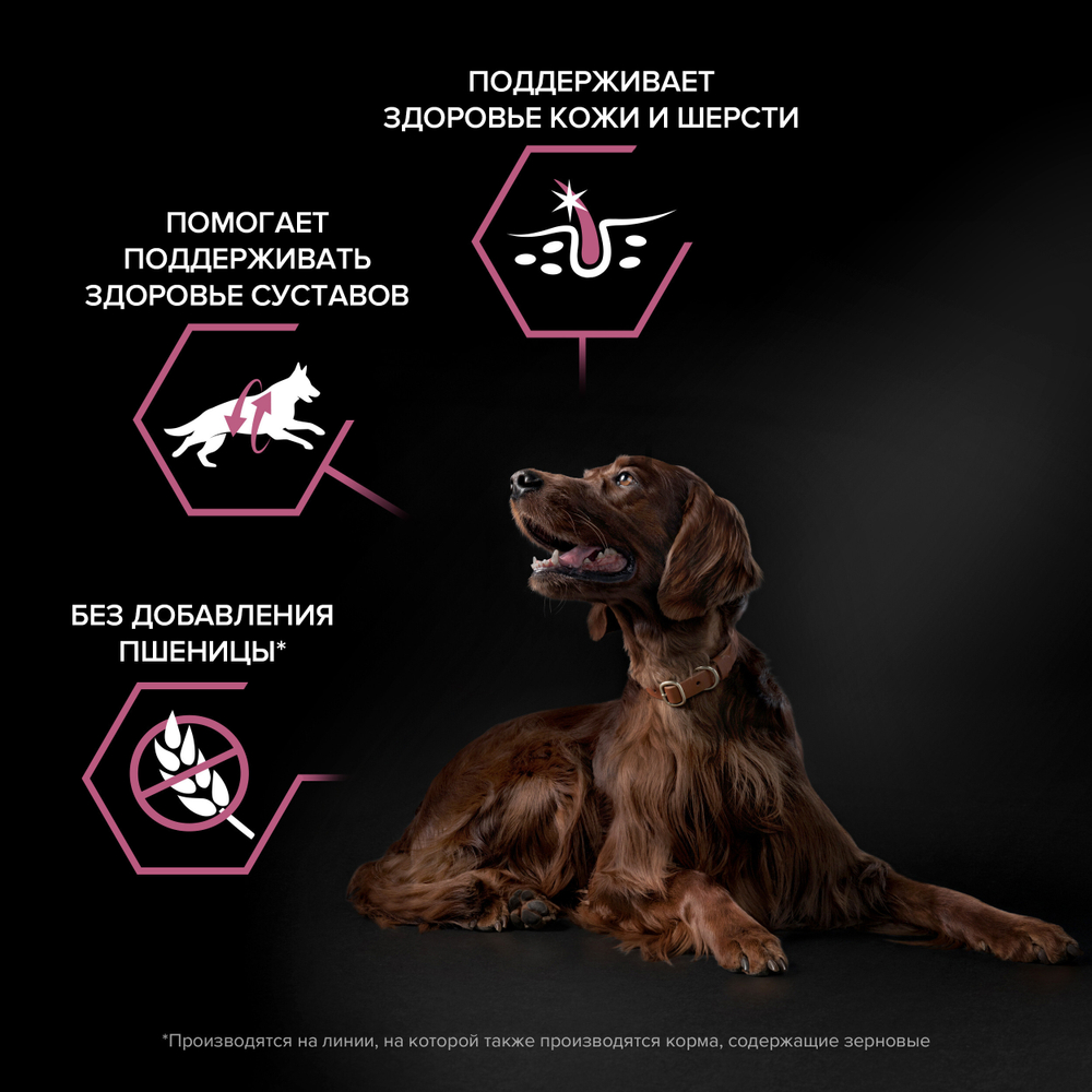 Сухой корм PRO PLAN SENSITIVE для взрослых собак крупных пород с атлетическим телосложением с чувствительной кожей лосось 14 кг