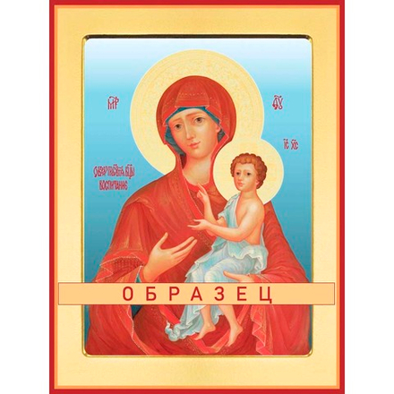 Воспитание икона Божией Матери БМ-79