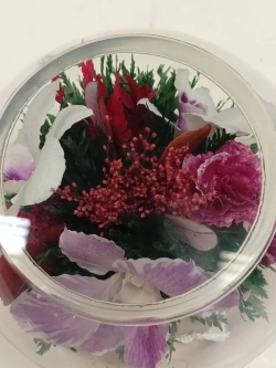 натуральные цветы в стекле, вакуум