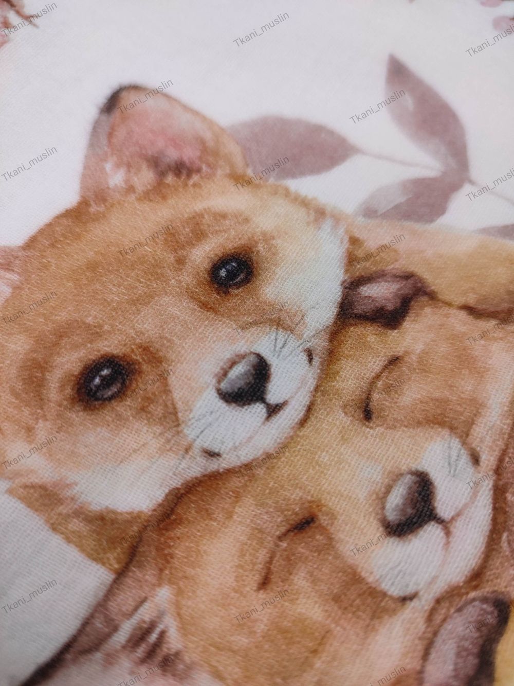 Лесные звери