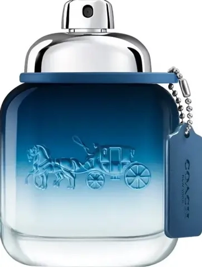 Coach Blue Eau de Toilette 40 ml