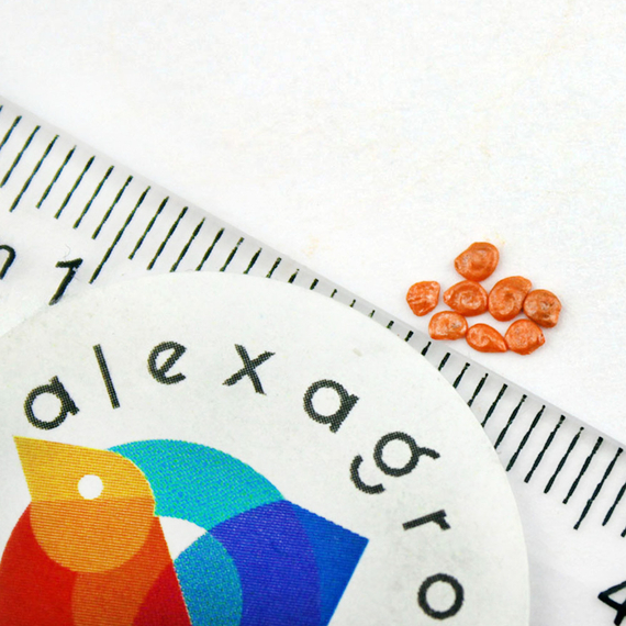 МЕТРО F1 семена томата Nunhems купить – фото 6