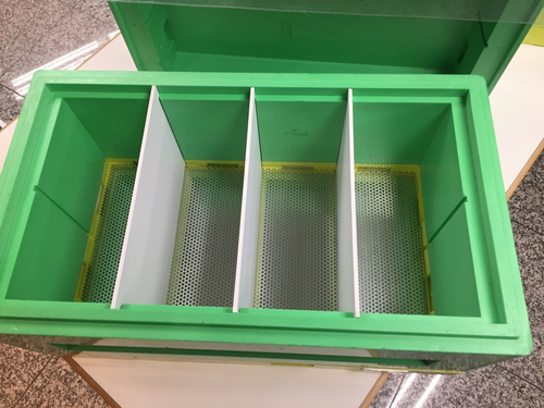 Нуклеус для облета маток 6 рамок (Дадан) с перфолистом