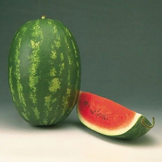 ФАРАО F1 семена арбуза Syngenta культура – фото 2