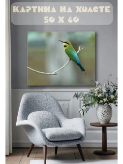 Картина на стену 40 X 50 Цветная птица