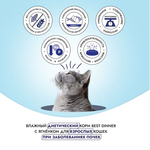 Влажный корм паштет для кошек Best Dinner Vet Profi Renal 0,1кг (диета при почечной недостаточности) ягненок. 14 упаковок