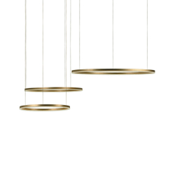 10017/3S Подвесной светильник LOFT IT Ring