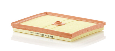 MANN-FILTER - C22035-MNF - Air Filter