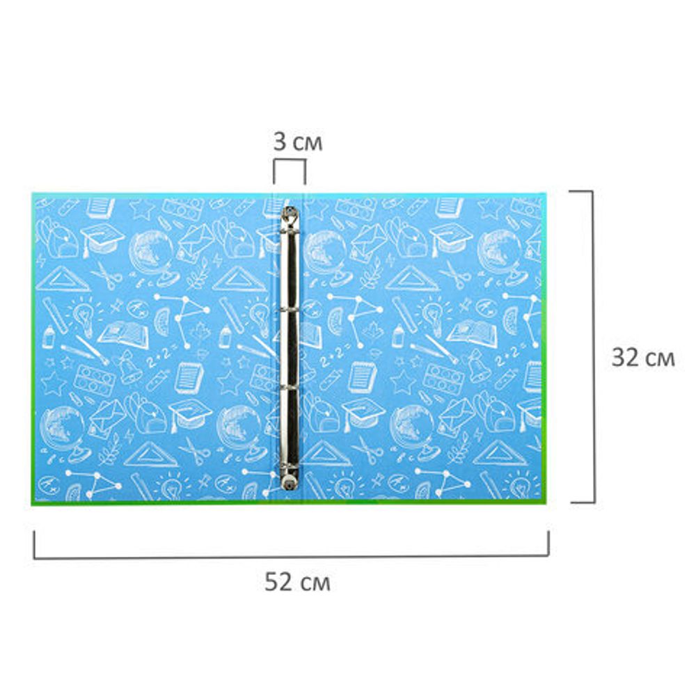 Папка-портфолио школьника "ОТЛИЧНИК", 4 кольца, 20 файлов, 10 вкладышей, 7БЦ матовая, BRAUBERG, 115240