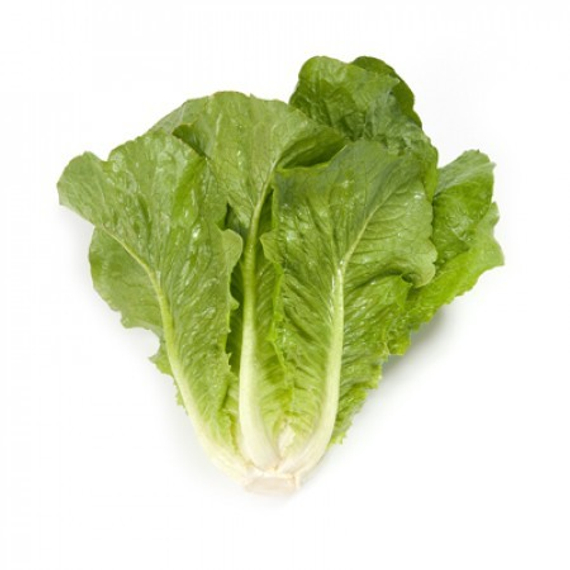 Викторинус семена салата ромэн – фото 2