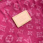 Louis Vuitton Pochette Accessoire Cargo