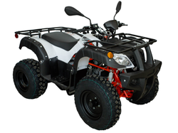 Квадрицикл KAYO AU150 (белый пластик 2024 г.) (ПТС)