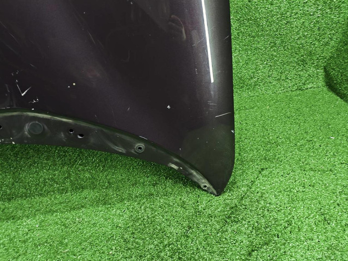 Капот Zeekr 001 (2021-н.в.)