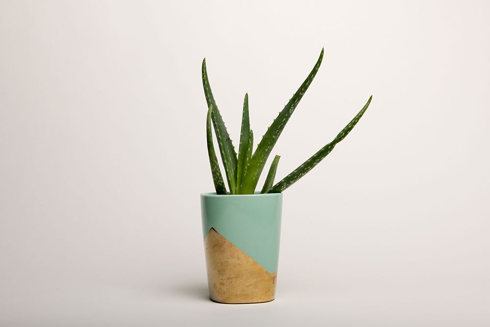 Superior 28 2.72 Х 11м Snow