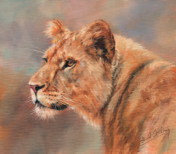 Коллекция Животные