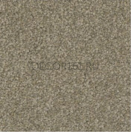 Ковер рулонный Stepway NY4701 X4453, шир. 3.66м Desoma (Десома) 100% ПОЛИАМИД Solution dyed