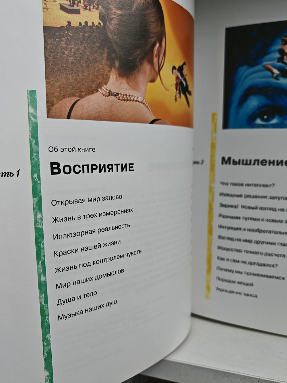 Мысль. Разум. Интеллект. Практическое руководство по развитию умственных способностей